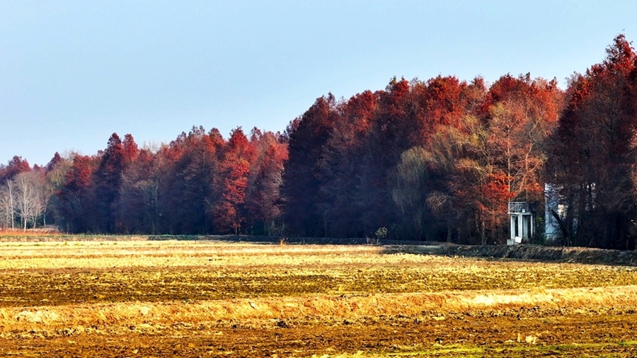 107.jpg