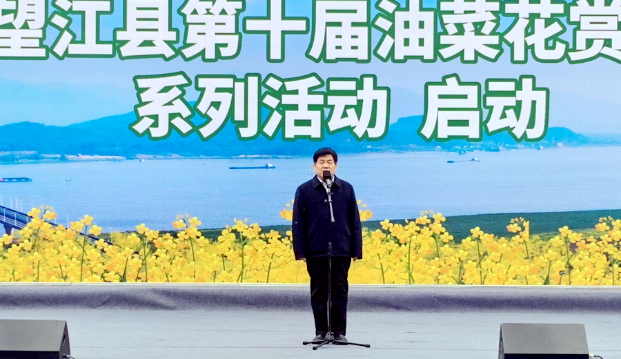 207.jpg